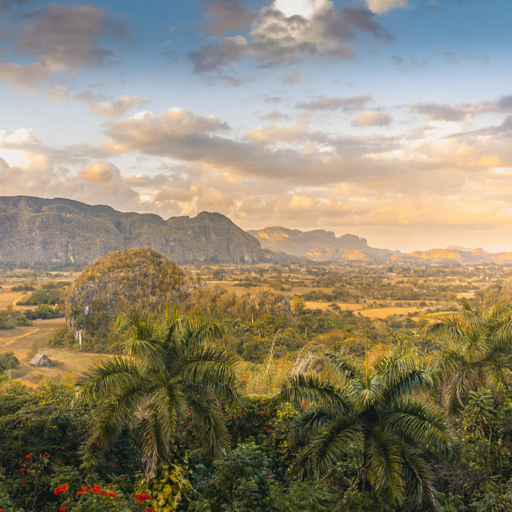 Vinales Kuba Canva