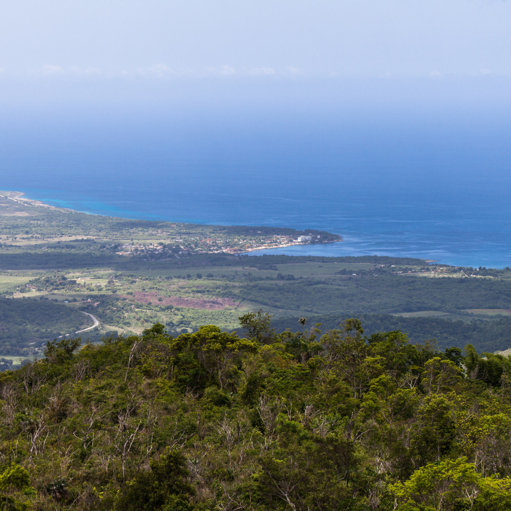Guantanamo Kuba Canva