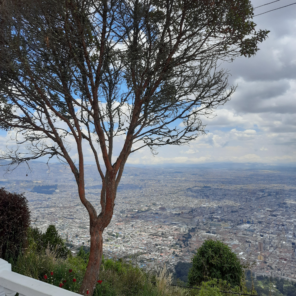 Bilder Lena Kolumbien Bogota