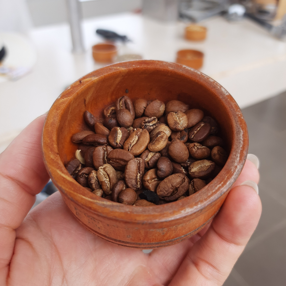 Lena Bilder Kolumbien Jardin Kaffeefarm