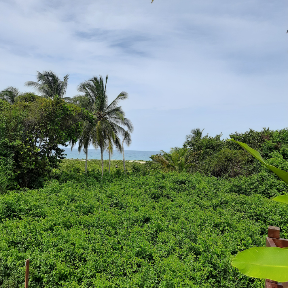Bilder Lena Kolumbien Tayrona