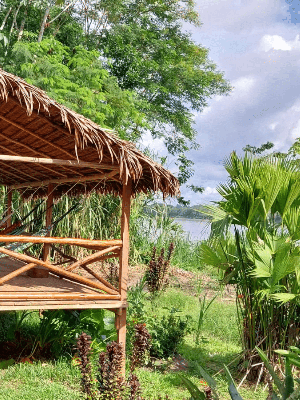 600x800 Heliconia Lodge Peru