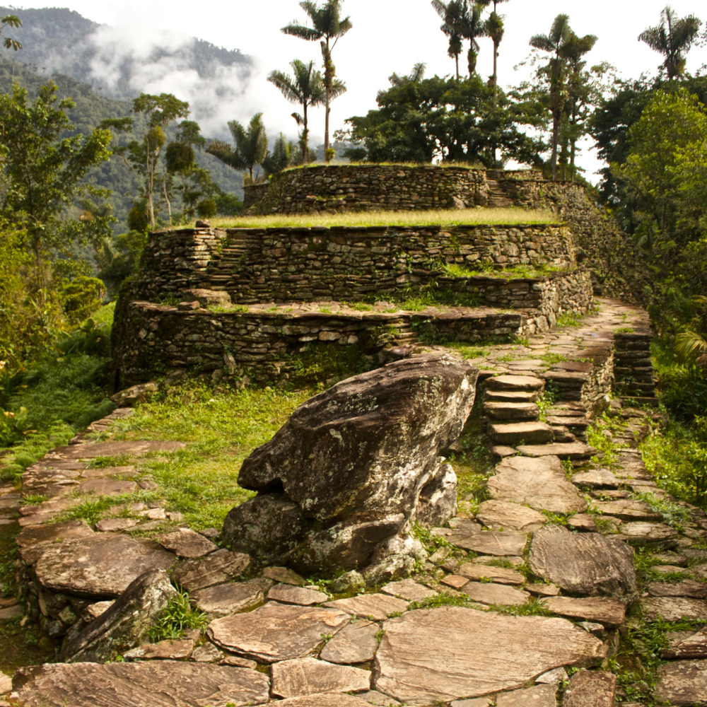 Ciudad Perdida Canva
