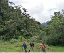Wanderung Panama