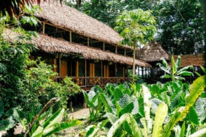 lodge Amazonas
